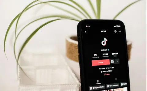 TikTok: appello perso negli Stati Uniti, la vendita forzata si avvicina
