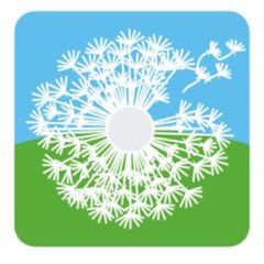 Meteo Allergie (ai pollini)