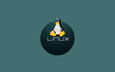 Linux 6.10: rilasciato kernel in via ufficiale