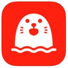 HOLLA - Videochat Random