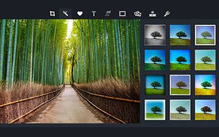 download pizap photo editor for pc free