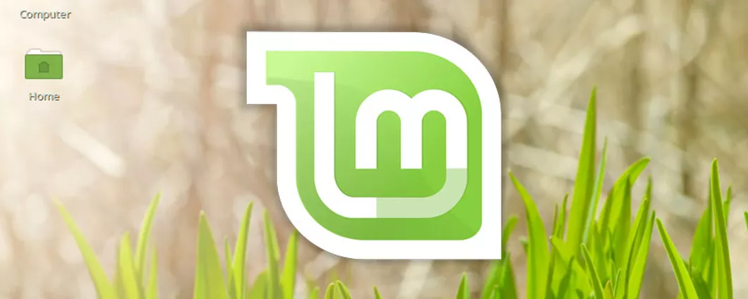 Linux Mint: stop ai pacchetti snap di Ubuntu
