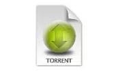 My Torrent Client