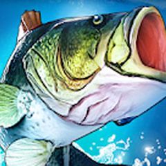 fc