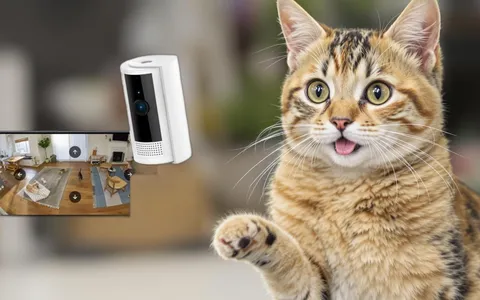 Sicurezza a 360° con la Ring Pan-Tilt Indoor Camera: ora a metà prezzo!