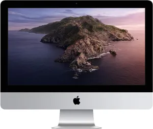 apple-imac-21-5-8-256-gb-minimo-storico-36-usb-processore