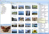 Photo Manager 2008