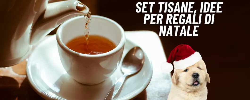 Idee Regali di Natale 2023: 5 set tisane per affrontare l'inverno con gusto e delicatezza