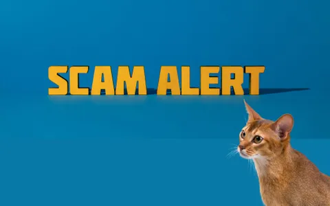 Truffe online: frode da 2.400€ ad una donna... colpa di un gatto