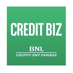 Credit BIZ